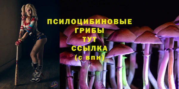 таблы Верхний Тагил