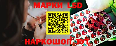 спиды Аргун