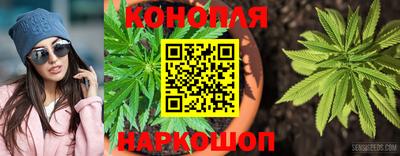 спиды Аргун