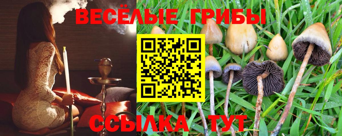 Псилоцибиновые грибы мухоморы  Галлюциногенные грибы Psilocybe  Верхняя Пышма  что такое наркотик  Вход с VPN 