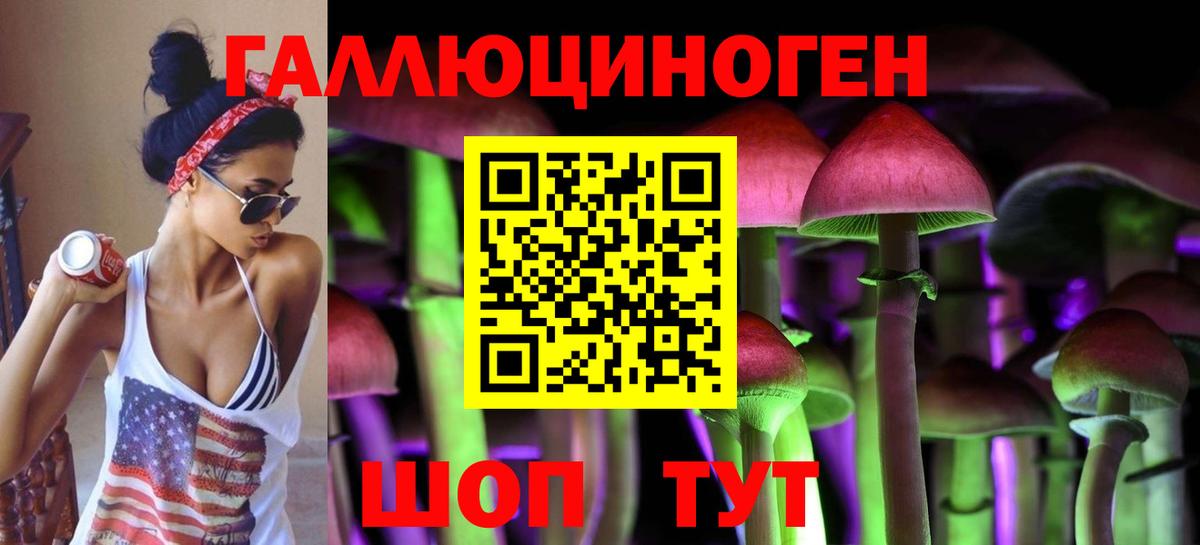 Псилоцибиновые грибы Cubensis Верхняя Пышма